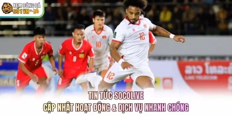 Tin Tức Socolive | Cập Nhật Hoạt Động & Dịch Vụ Nhanh Chóng
