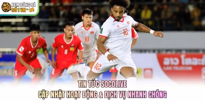 Tin Tức Socolive | Cập Nhật Hoạt Động & Dịch Vụ Nhanh Chóng
