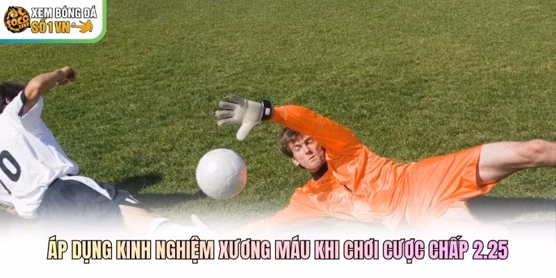 Áp dụng kinh nghiệm xương máu khi chơi cược chấp 2.25