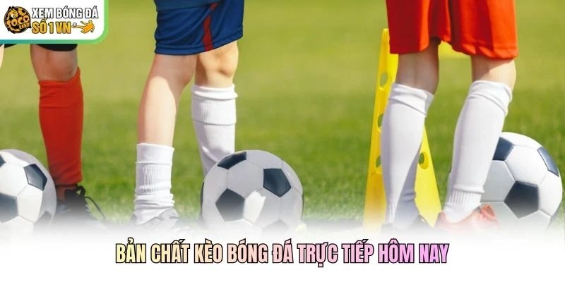 Bản chất kèo bóng đá trực tiếp hôm nay Bản chất kèo bóng đá trực tiếp hôm nay
