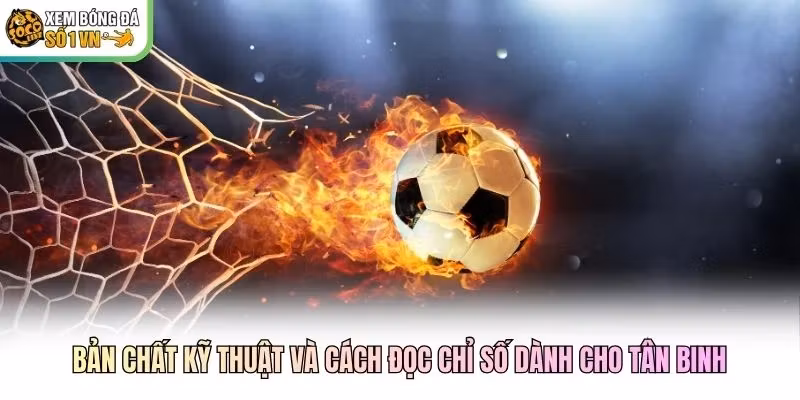 Bản chất kỹ thuật và cách đọc chỉ số dành cho tân binh