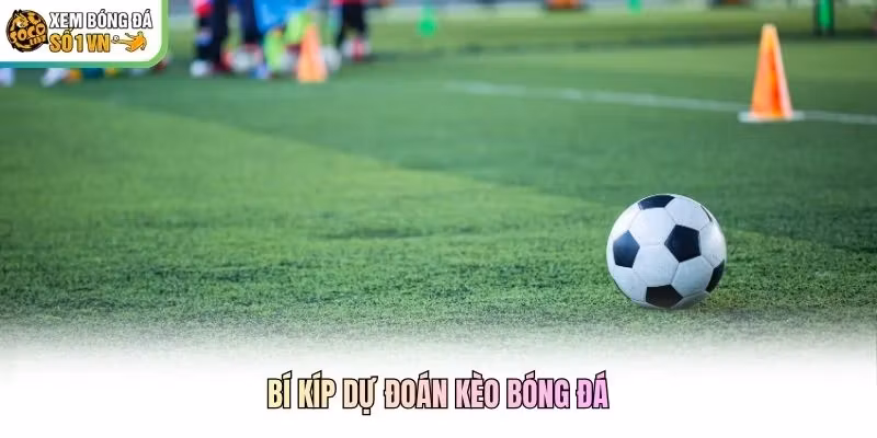 Bí kíp dự đoán kèo bóng đá