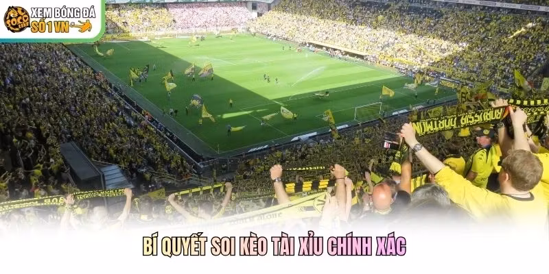 Bí quyết soi kèo tài xỉu chính xác