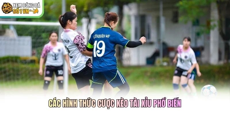 Các hình thức cược kèo tài xỉu phổ biến Các hình thức cược kèo tài xỉu phổ biến