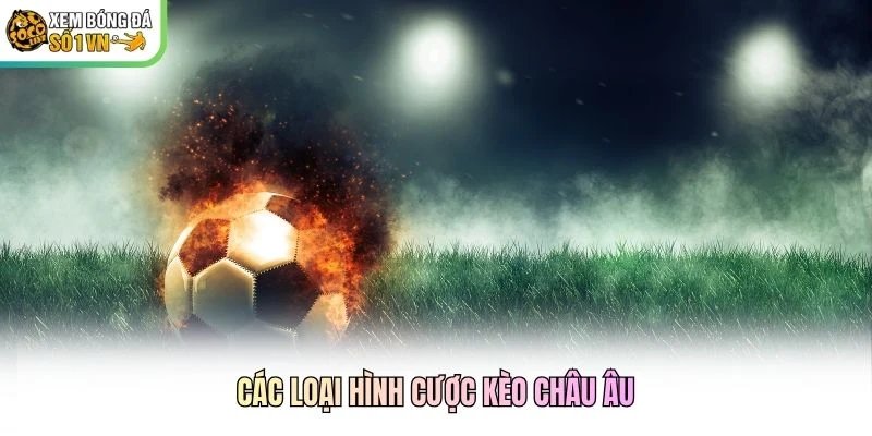 Các loại hình cược kèo châu Âu Các loại hình cược kèo châu Âu