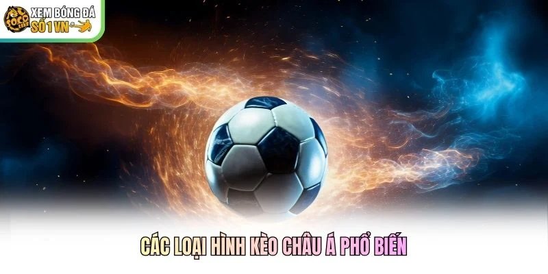Các loại hình kèo châu Á phổ biến Các loại hình kèo châu Á phổ biến