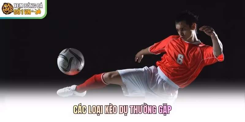 Các loại kèo dụ thường gặp