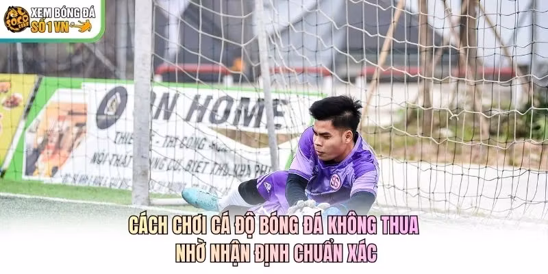 Cách chơi cá độ bóng đá không thua nhờ nhận định chuẩn xác
