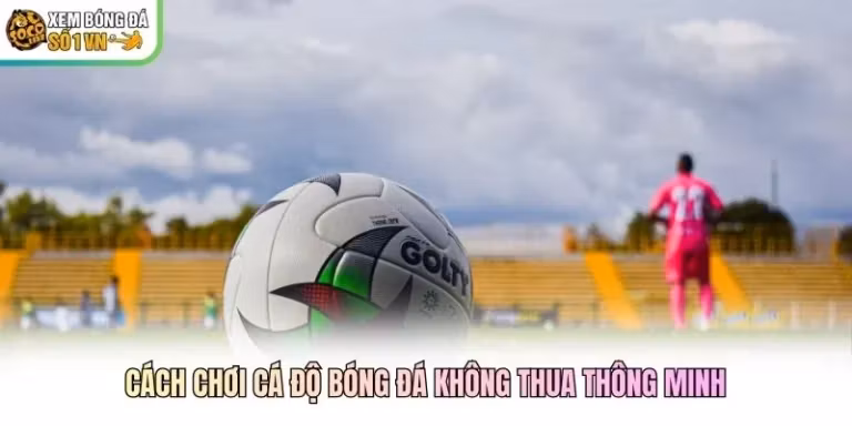 Cách Chơi Cá Độ Bóng Đá Không Thua Thông Minh