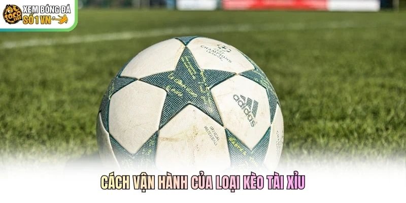 Cách vận hành của loại kèo tài xỉu Cách vận hành của loại kèo tài xỉu