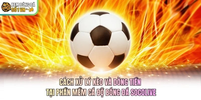 Cách xử lý kèo và dòng tiền tại phần mềm cá độ bóng đá Socolive