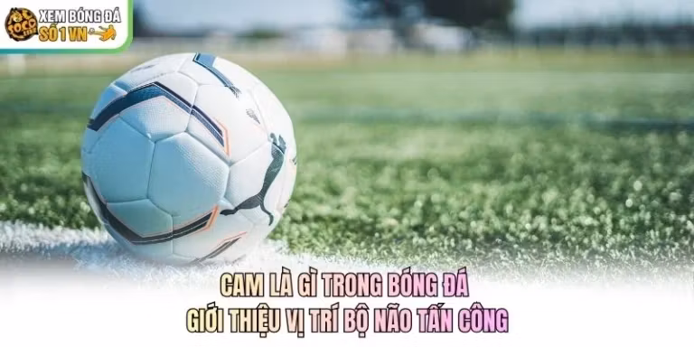 CAM Là Gì Trong Bóng Đá - Giới Thiệu Vị Trí Bộ Não Tấn Công