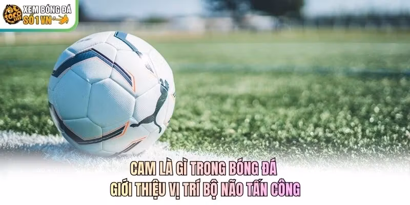 CAM Là Gì Trong Bóng Đá - Giới Thiệu Vị Trí Bộ Não Tấn Công