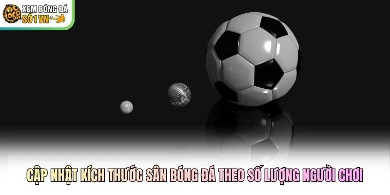 Cập nhật kích thước sân bóng đá theo số lượng người chơi