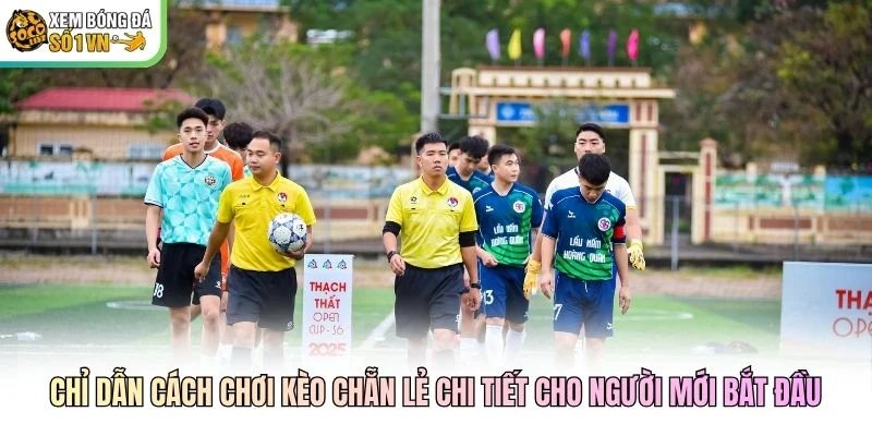 Chỉ dẫn cách chơi kèo chẵn lẻ chi tiết cho người mới bắt đầu Chỉ dẫn cách chơi kèo chẵn lẻ chi tiết cho người mới bắt đầu