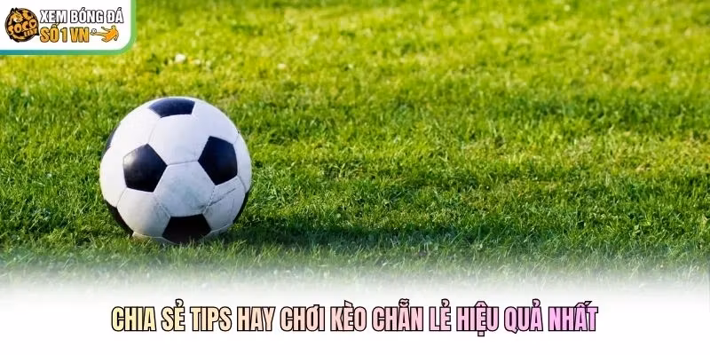 Chia sẻ tips hay chơi kèo chẵn lẻ hiệu quả nhất