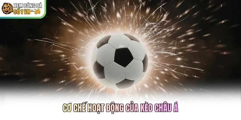 Cơ chế hoạt động của kèo châu Á Cơ chế hoạt động của kèo châu Á