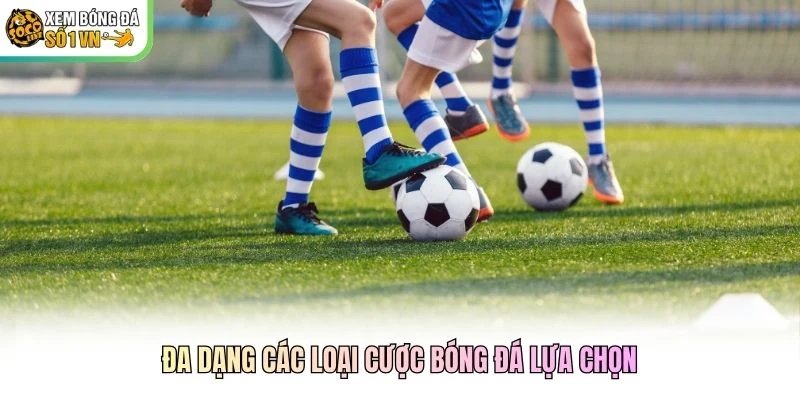 Đa dạng các loại cược bóng đá lựa chọn Đa dạng các loại cược bóng đá lựa chọn