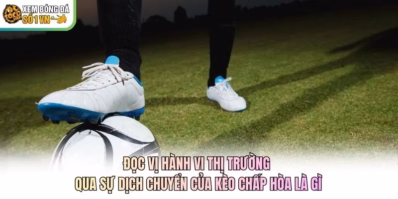 Đọc vị hành vi thị trường qua sự dịch chuyển của kèo chấp hòa là gì