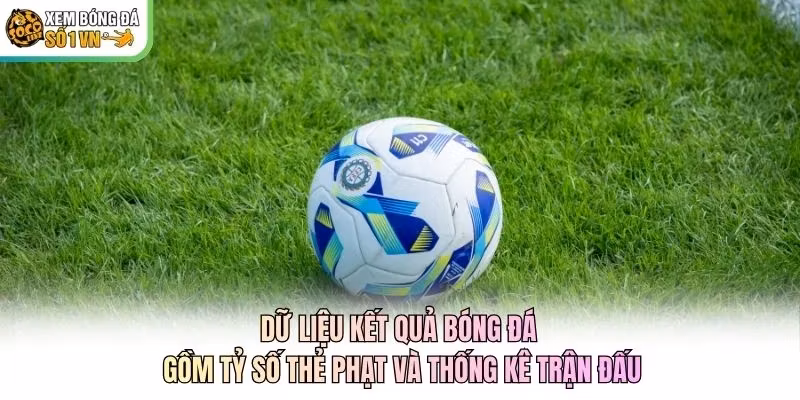Dữ liệu kết quả bóng đá gồm tỷ số thẻ phạt và thống kê trận đấu