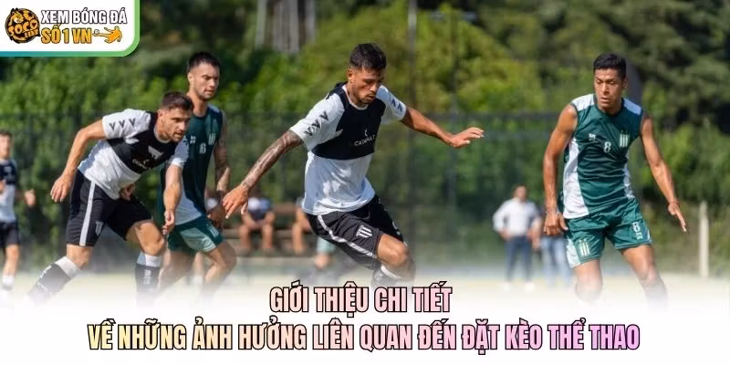 Giới thiệu chi tiết về những ảnh hưởng liên quan đến đặt kèo thể thao