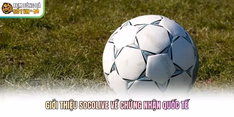 Giới thiệu Socolive về chứng nhận quốc tế