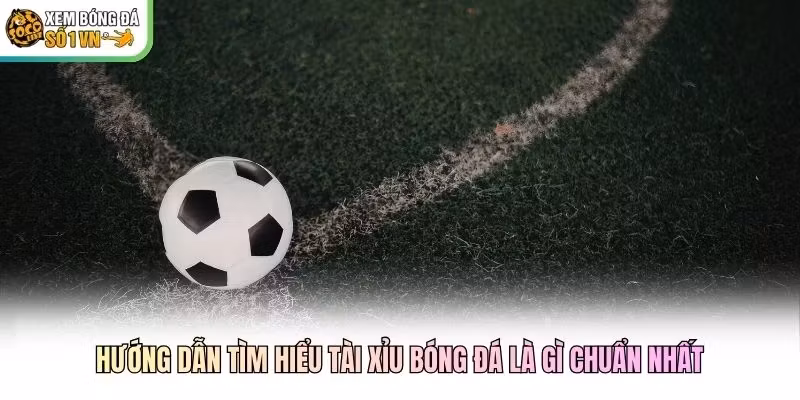 Hướng dẫn tìm hiểu tài xỉu bóng đá là gì chuẩn nhất