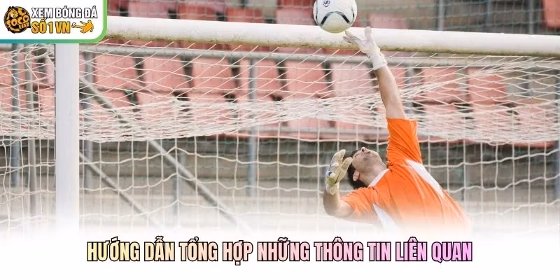 Hướng dẫn tổng hợp những thông tin liên quan