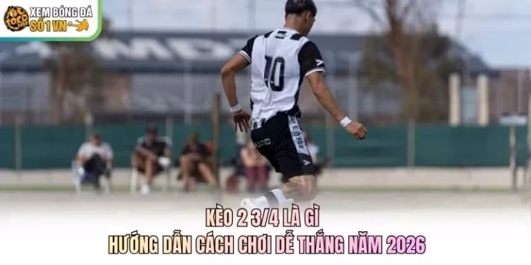 Kèo 2 3/4 Là Gì - Hướng Dẫn Cách Chơi Dễ Thắng Năm 2026