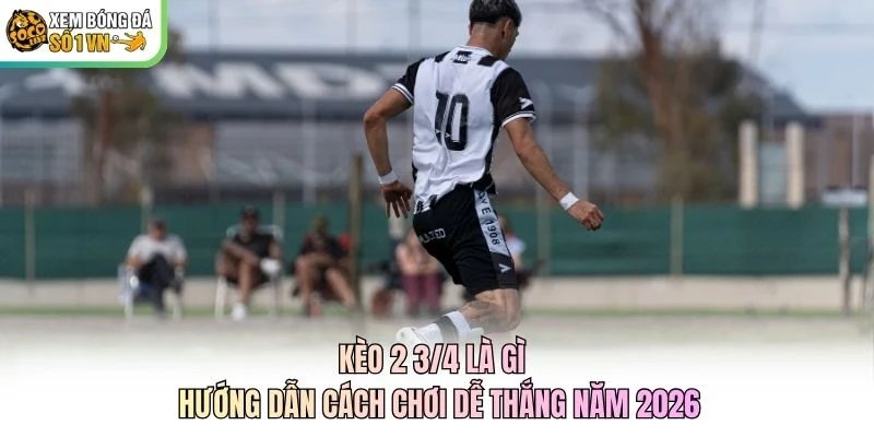 Kèo 2 3/4 Là Gì - Hướng Dẫn Cách Chơi Dễ Thắng Năm 2026