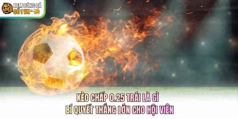Kèo Chấp 0.25 Trái Là Gì - Bí Quyết Thắng Lớn Cho Hội Viên