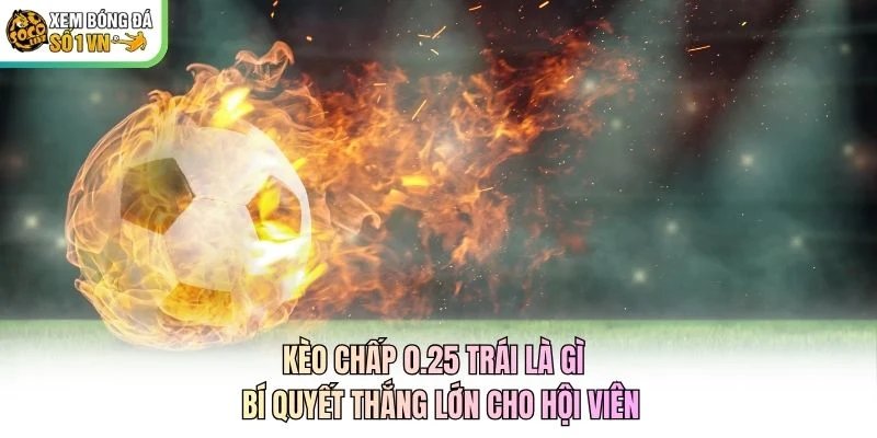 Kèo Chấp 0.25 Trái Là Gì - Bí Quyết Thắng Lớn Cho Hội Viên