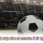 Kinh Nghiệm Cá Cược Bóng Đá Socolive: Bí Kíp Tạo Nên Cao Thủ