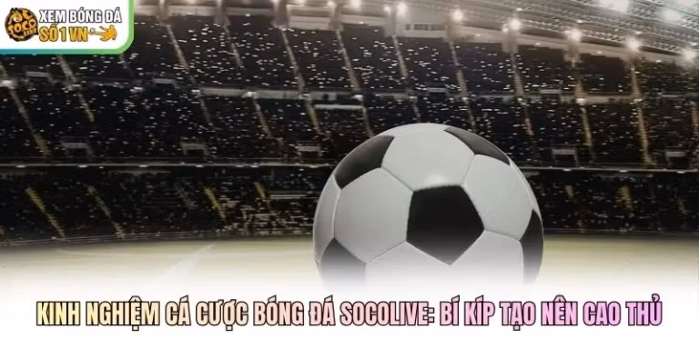 Kinh Nghiệm Cá Cược Bóng Đá Socolive: Bí Kíp Tạo Nên Cao Thủ
