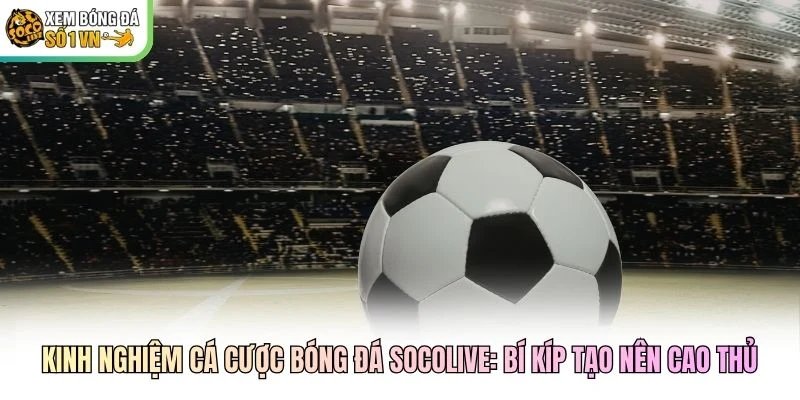 Kinh Nghiệm Cá Cược Bóng Đá Socolive: Bí Kíp Tạo Nên Cao Thủ