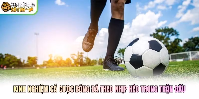 Kinh nghiệm cá cược bóng đá theo nhịp kèo trong trận đấu Kinh nghiệm cá cược bóng đá theo nhịp kèo trong trận đấu