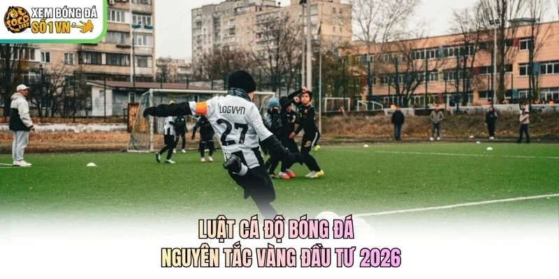 Luật Cá Độ Bóng Đá - Nguyên Tắc “Vàng” Đầu Tư 2026