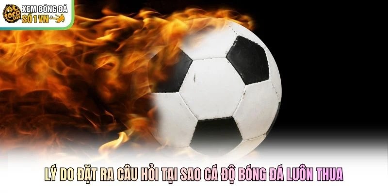 Lý do đặt ra câu hỏi tại sao cá độ bóng đá luôn thua Lý do đặt ra câu hỏi tại sao cá độ bóng đá luôn thua