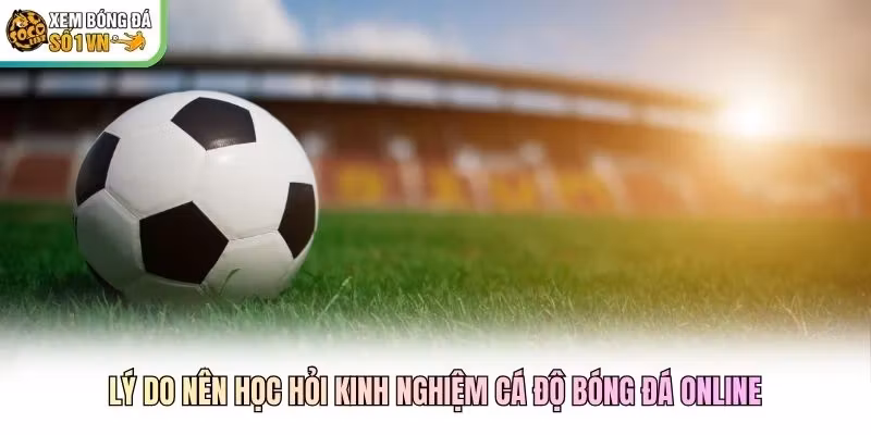 Lý do nên học hỏi kinh nghiệm cá độ bóng đá online Lý do nên học hỏi kinh nghiệm cá độ bóng đá online