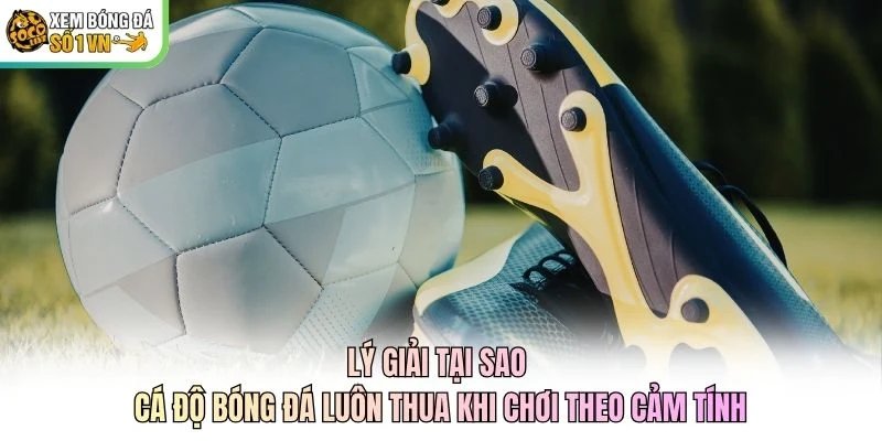 Lý giải tại sao cá độ bóng đá luôn thua khi chơi theo cảm tính Lý giải tại sao cá độ bóng đá luôn thua khi chơi theo cảm tính