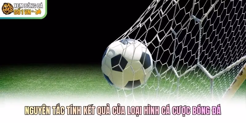 Nguyên tắc tính kết quả của loại hình cá cược bóng đá