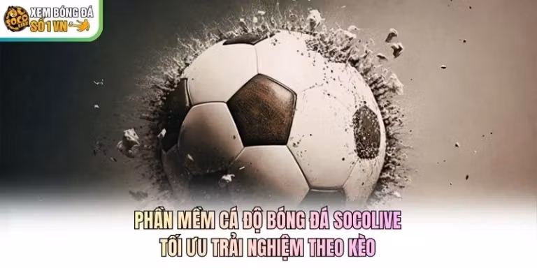 Phần Mềm Cá Độ Bóng Đá Socolive: Tối Ưu Trải Nghiệm Theo Kèo