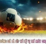RWB Trong Bóng Đá Là Gì? Hé Lộ Vị Trí Máy Chạy Biên Phải
