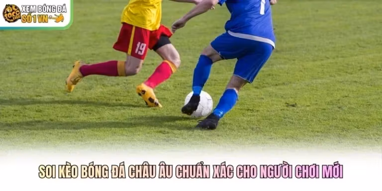 Soi Kèo Bóng Đá Châu Âu Chuẩn Xác Cho Người Chơi Mới