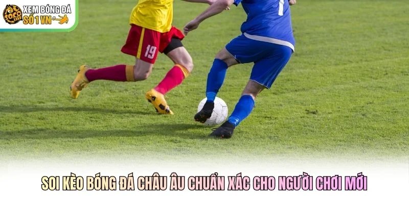 Soi Kèo Bóng Đá Châu Âu Chuẩn Xác Cho Người Chơi Mới
