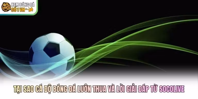 Tại Sao Cá Độ Bóng Đá Luôn Thua Và Lời Giải Đáp Từ Socolive