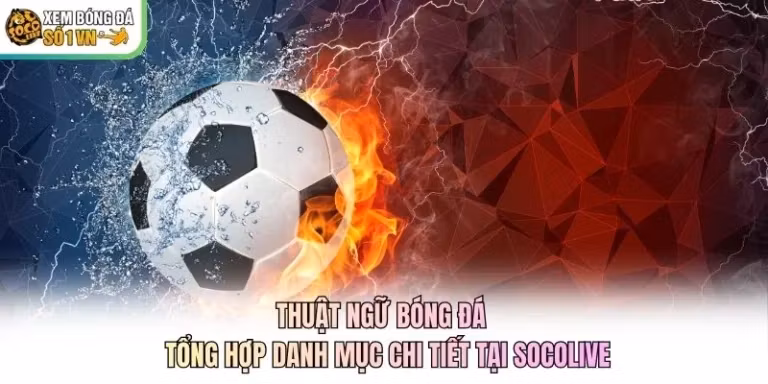 Thuật Ngữ Bóng Đá - Tổng Hợp Danh Mục Chi Tiết Tại Socolive