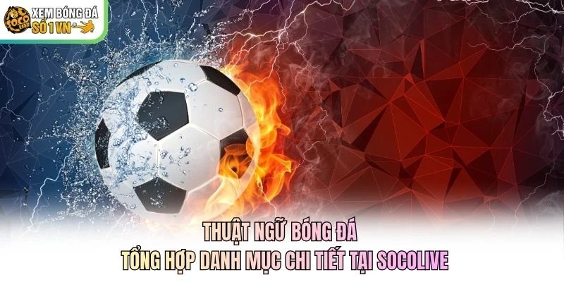 Thuật Ngữ Bóng Đá - Tổng Hợp Danh Mục Chi Tiết Tại Socolive