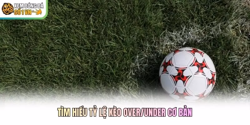 Tìm hiểu tỷ lệ kèo Over/Under cơ bản