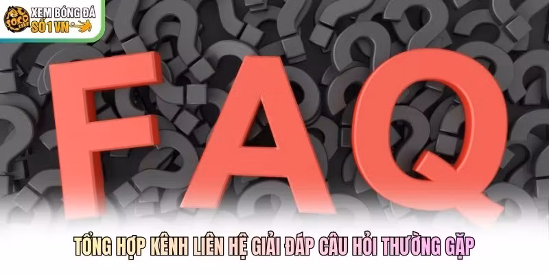 Tổng hợp kênh liên hệ giải đáp câu hỏi thường gặp